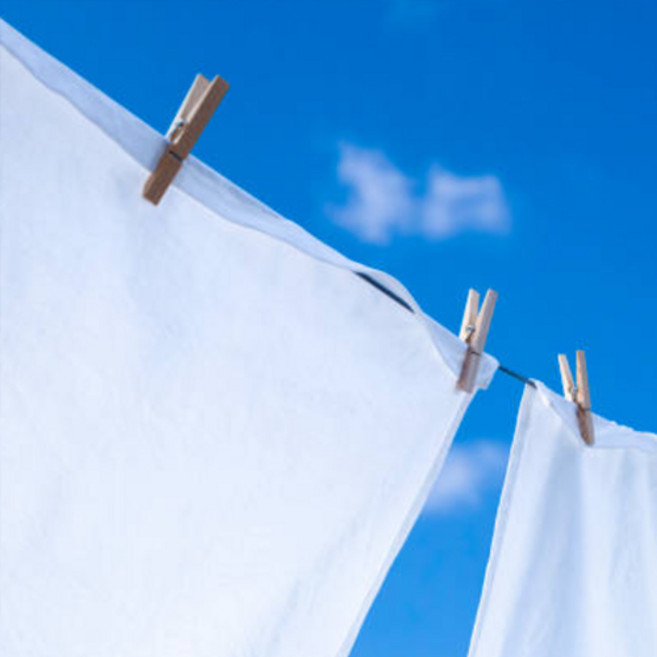 블루 비앙카(Blue Bianca) 10ml 알러지프리 프래그런스오일, 1개, 녹차향