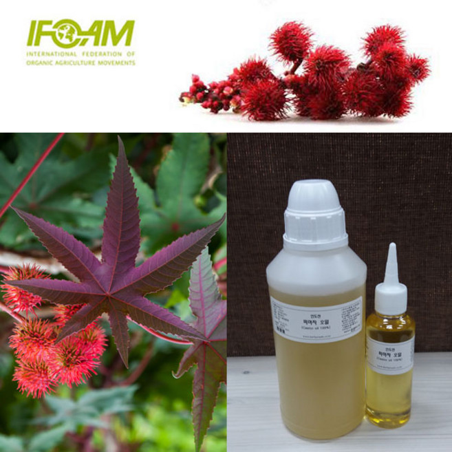 허브인 피마자오일 정제 피마자유 100% 1L 구입시 공용기증정, 오일, 100ml, 1개