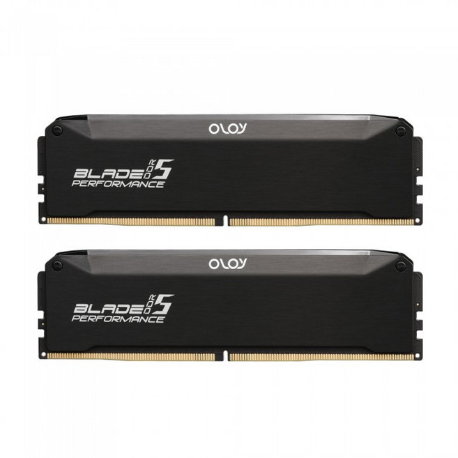 OLOy DDR5-6000 CL32 BLADE Black 패키지 (32GB(16Gx2)), 1개