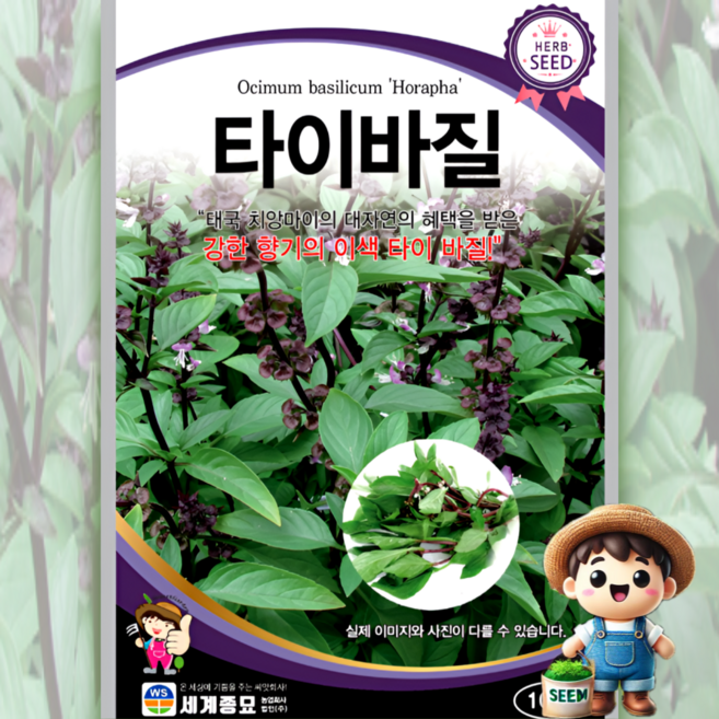 세계종묘 타이바질 100립 일반종 식용꽃 허브 꽃씨 씨앗 종자 세계, 1개