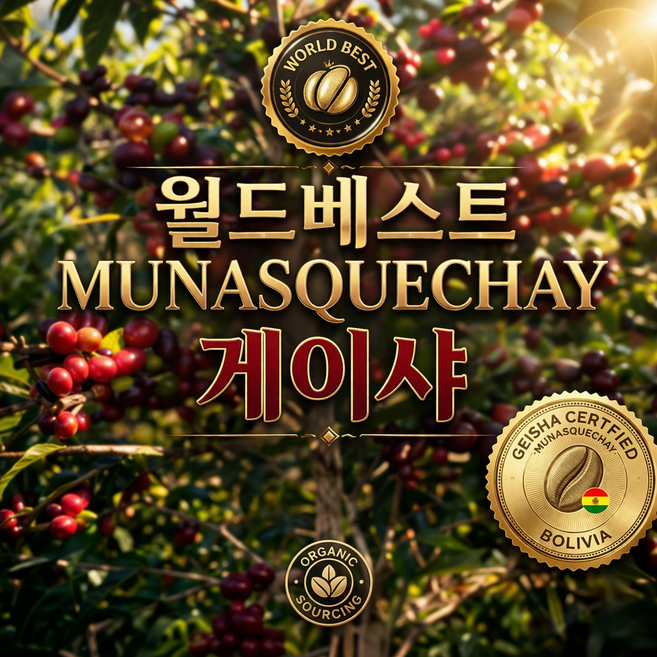 [커피생두] 월드베스트 프리미엄 무나스께차이 게이샤커피 생두 500g, 1개