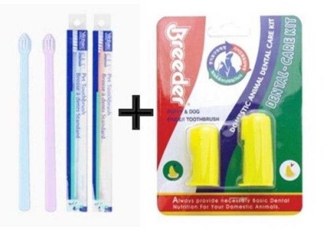 (1+2 땡처리세일) 버박 C.E.T 미니 강아지 고양이 칫솔 2개묶음+브리더 손가락 강아지 고양이 칫솔(2P) 색