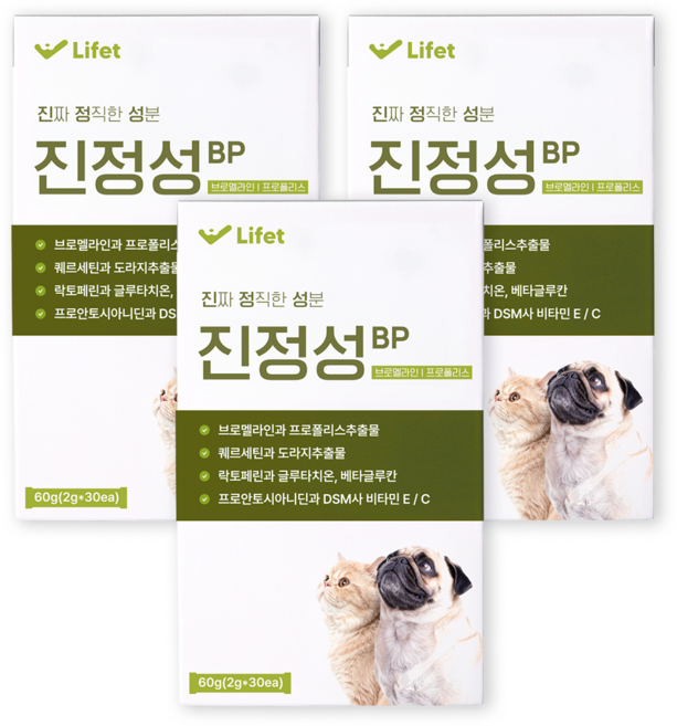 진정성 호흡기 영양제 강아지 고양이 기침 감기 기관지 협착증 거위소리, 3개, 호흡기/기관지, 30회분
