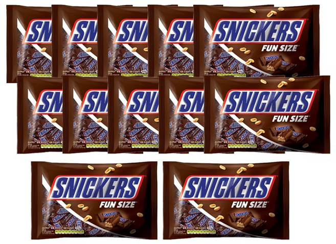스니커즈 펀사이즈 초코바, 500g, 12개