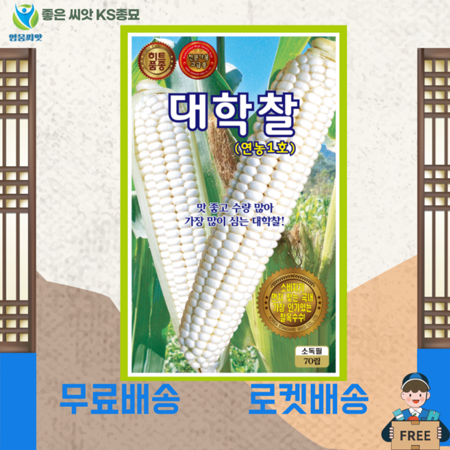 옥수수 씨앗 대학찰 연농1호 씨앗 (70립) 종묘 종자 씨 최우수품종영웅 KS, 1개