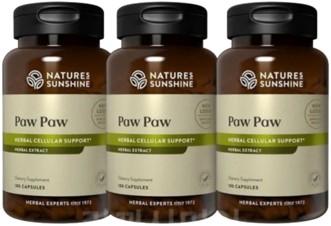 네이쳐스선샤인 포포셀 아세토제닌, 3개, 180정 - 쿠팡