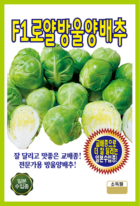 F1로얄 방울양배추 1000립 양배추 씨앗 종자 모종 텃밭 주말농장 KS종묘 그린종묘농약사, 1개