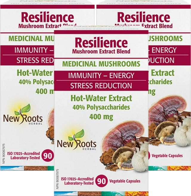 [뉴루츠허벌] 회복약용버섯 복합버섯추출물 블렌드 90베지캡슐(3개 45일분), 3개, 90정