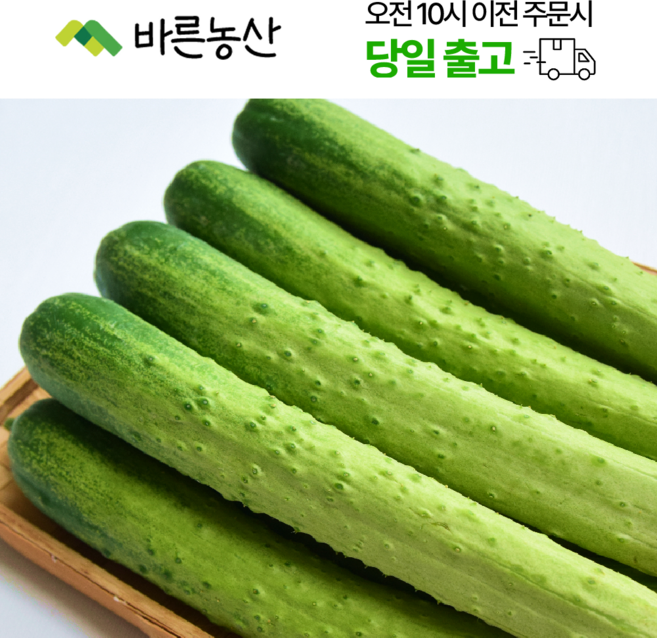 < 바른농산 > 국내산 오이 다다기오이 백오이 (특품), 15개, 200g