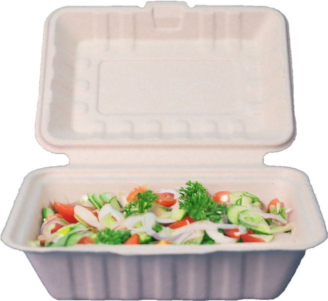 유즈잇 B007V 전자렌지 오븐사용 가능 튼튼한 핫도그 샌드위치 볶음밥 포장 용기 펄프, 50개, 1개