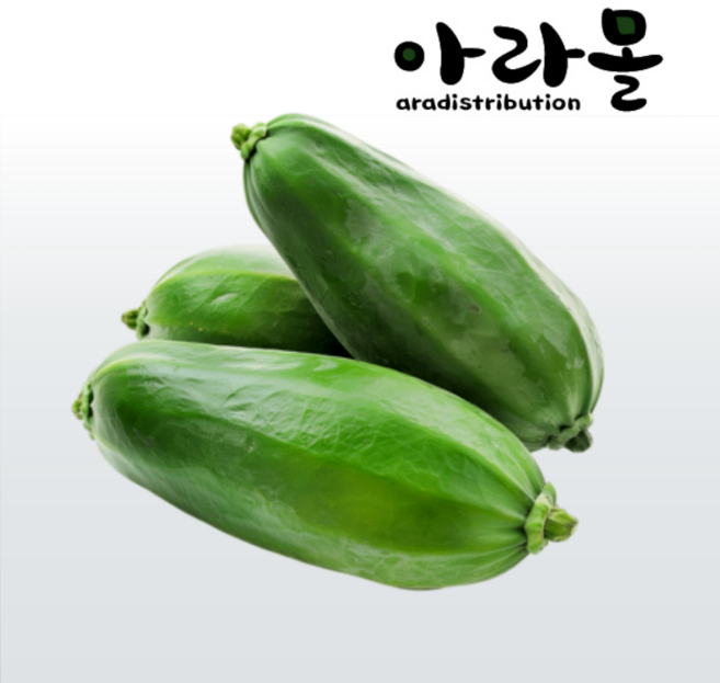 아라몰 그린 파파야 (Green Papaya), 1박스, 1.5kg(2수)