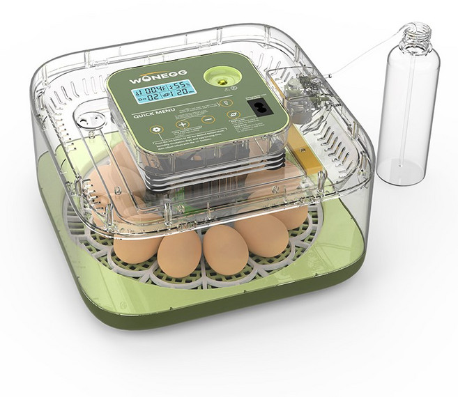 DEEKAILE 스마트 자동 병아리 부화기 가정용 계란부화기 육추기 12구 26년 최신형, 1개, 그린