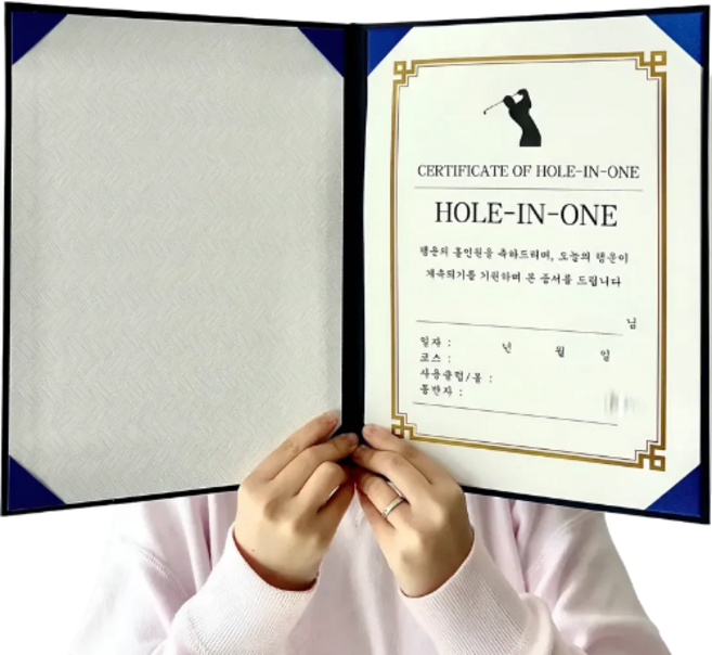 상장 만들기 이글 홀인원 싱글 기념패 트로피 어버이날 선물, 1개, 홀인원 상장