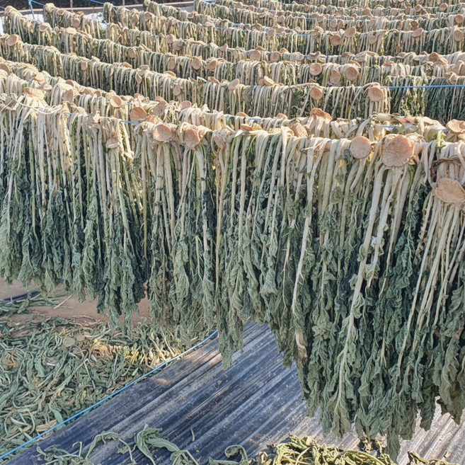 강원도 평창 고랭지 무청 건 시래기 시골집 깊은 맛, 1개, 2kg