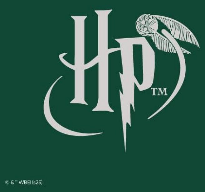 Owala Disney Princess FreeSip 단열 스테인리스 스틸 물병 스포츠 및 여행용 빨대 포함 BPA 프리 스포츠 물병 680.4g(24온스) 벨, Harry Potter, Slytherin