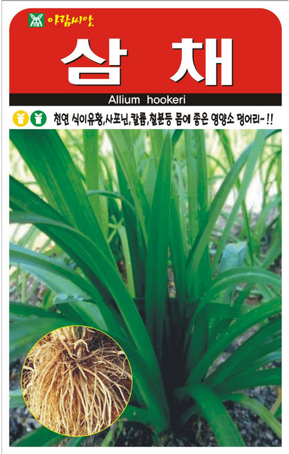 세인화분 삼채 100립 - 삼미채 씨 씨앗, 2개