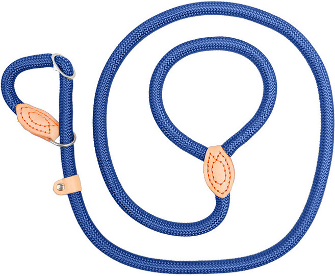 애견 반려견 일체형 리드줄 S 강아지 훈련용 산책 목줄 소형견, 1개, 블루