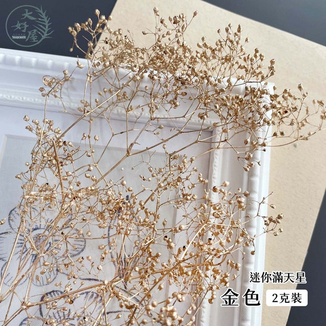 大好屋 迷你滿天星 永生花乾燥花材 DIY手作拍攝道具, 迷你滿天星, 金色