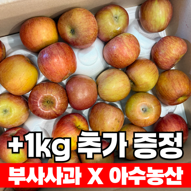 [1kg추가증정] 초특가 주스용 못난이 사과, 1박스, 주스용 5kg