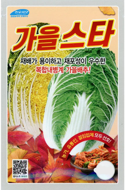 가을스타 김장배추 씨앗 1000립 재배가 용이하고 재포성이 우수한 복합내병계 가을배추 26년 포장, 1개
