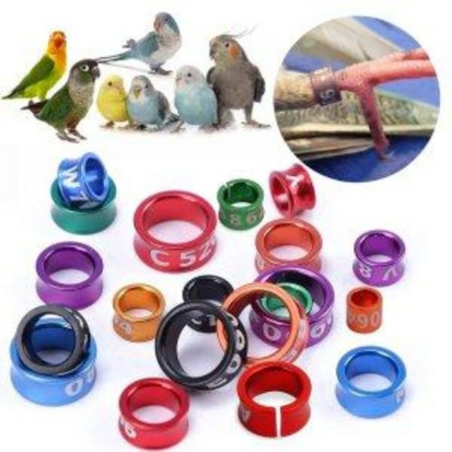 WP 발목링 1p (크기별) 앵무새 핀치 잉꼬 암수구별 오픈링 폐쇄링, 오픈형(개방형), 내경4mm(잉꼬류), 1개