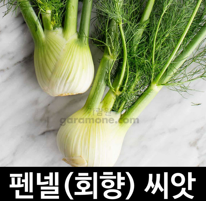 팬넬 씨앗 회향씨앗 허브씨앗 산미나리 종자 씨 400알, 1개