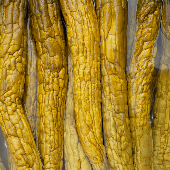 맛사랑 국산 오이지, 1개, 500g