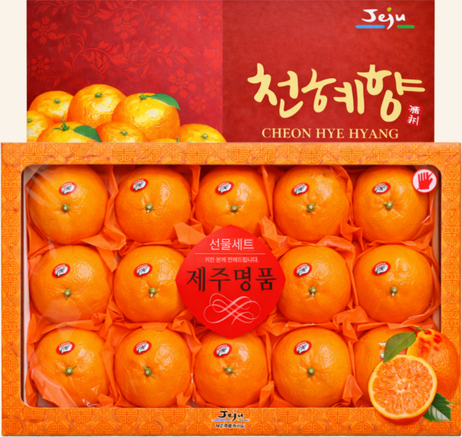 제주 천혜향 선물세트 로얄과, 1개, 5kg