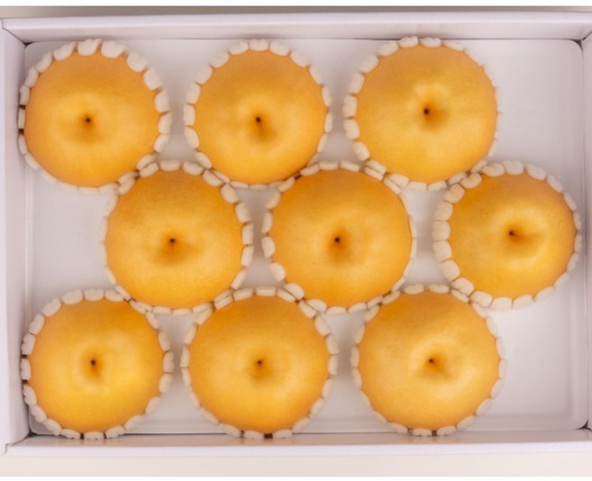나주 배(신고) 가정용 5kg (8-10과) 산지직배송, 1개