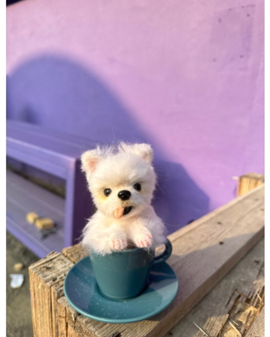 반려동물 양모인형 주문제작, 코 / 입(이빨.혀) / 발톱, 1개