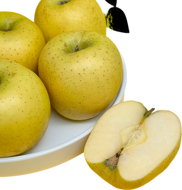 시나노골드 황금사과 실속형 가정용, 1박스, 중대과 5kg