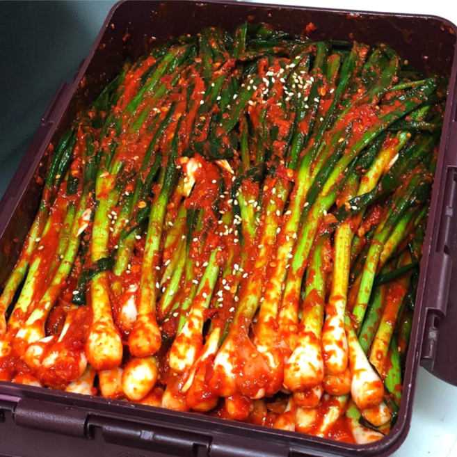 마니쿡스 수입 쪽파김치, 1박스, 10kg