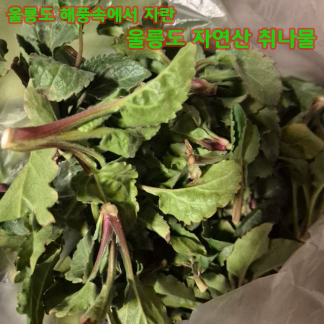 십이계절 울릉도 자연산 취나물 노지 부지깽이, 1kg, 1개