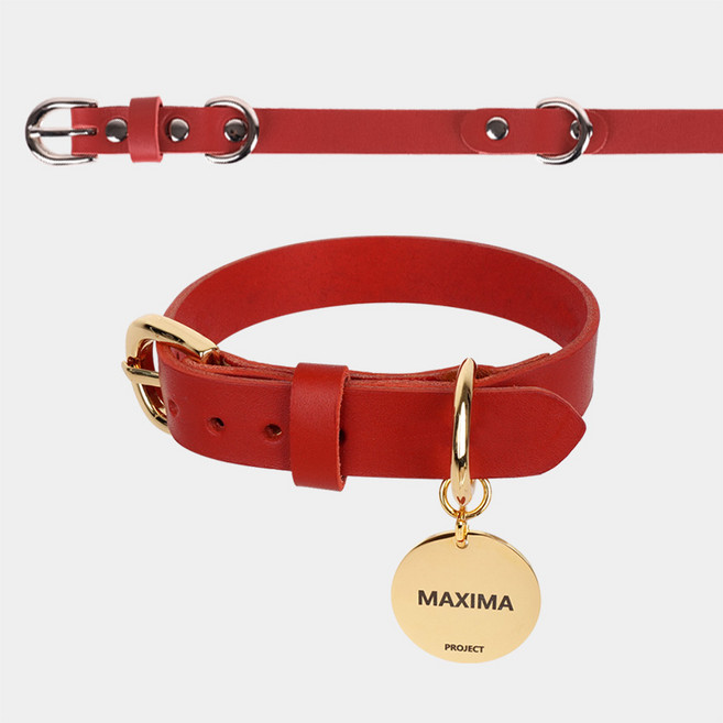 MX PET 베지터블 가죽 목줄 325X RED 강아지 소 중 대형 각인, 레드/리드줄셋업형, 1개, 골드