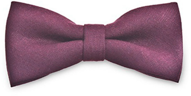 NV027 단색와인 나비넥타이 보타이 정장 캐쥬얼 남자악세사리 자동넥타이