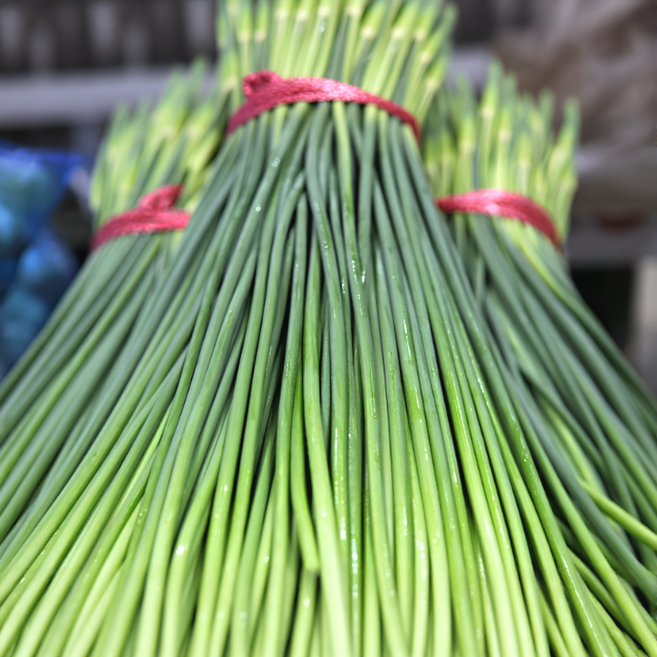 [초특가할인] 마늘쫑 국내산 부드럽고 아삭한 햇 마늘쫑, 1개, 1kg