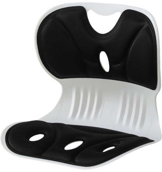 꽃잎 디자인 허리 보호대 방석 / 사무실 의자 등받이 쿠션 / 인체공학 척추 교정 일체형 방석, 검정색