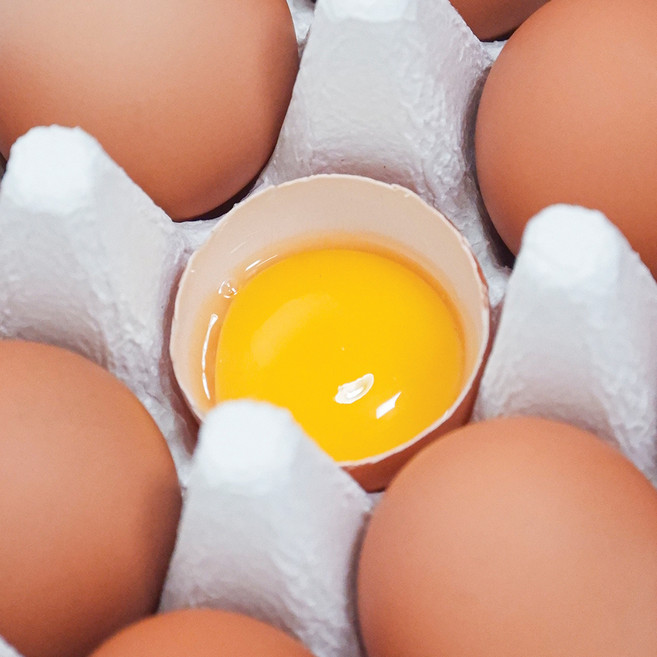 [당일산란]영신팜스 농장직송 무항생제 HACCP 왕란 계란, 2개, 30구