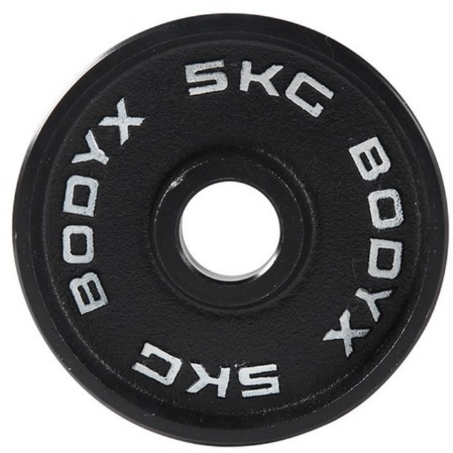 바디엑스 [낱개] 케이언 중량원판 5kg 홀 50mm 주물 아이언, 없음, 1개