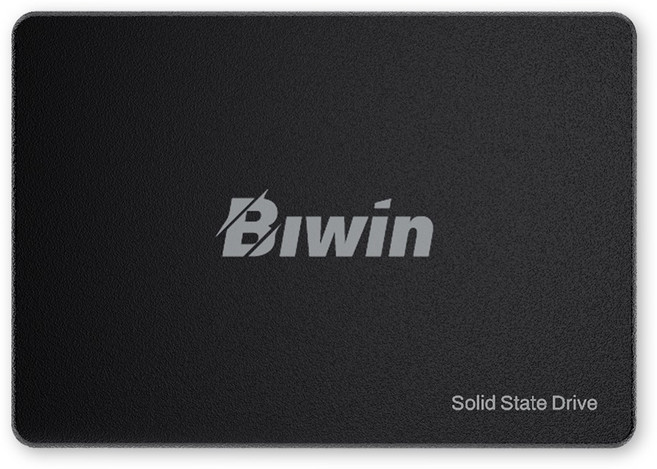 BIWIN M100 (256GB) 2.5 SATA3, 256GB