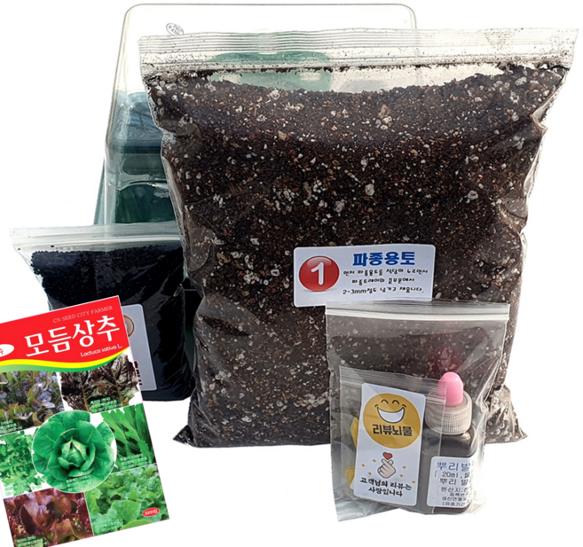 하늘e정원 누구나 쉽게 책상 위의 텃밭 과학 실험 모듬상추 식물 기르기 키트 세트 3000p
