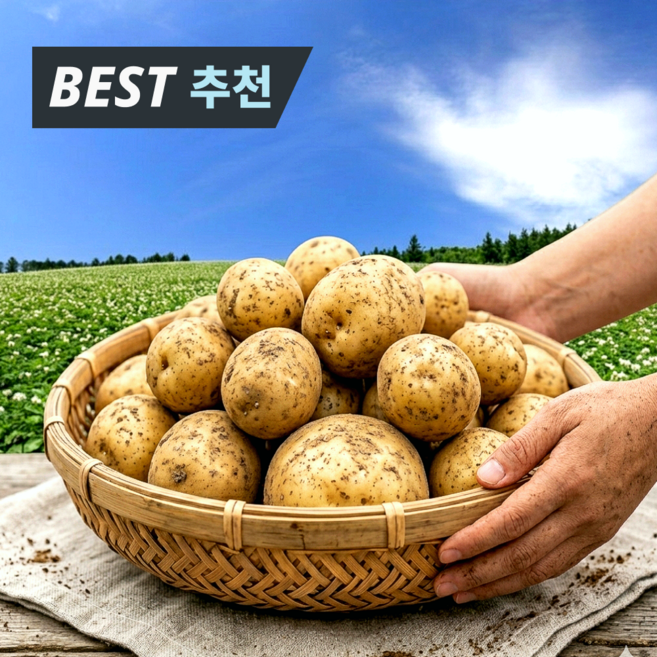 [오늘수확특가] 포슬촉촉 국내산 햇감자 수미감자, 1개, 5kg(대)