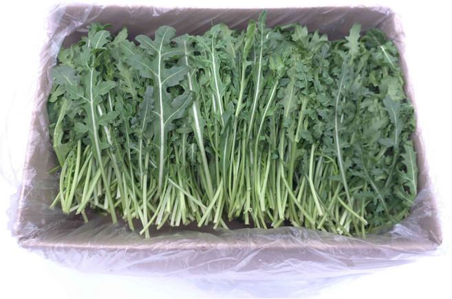 [허브온] 와일드 루꼴라 / 16년간 전국 호텔 및 레스토랑 공급채소, 1개, 1kg