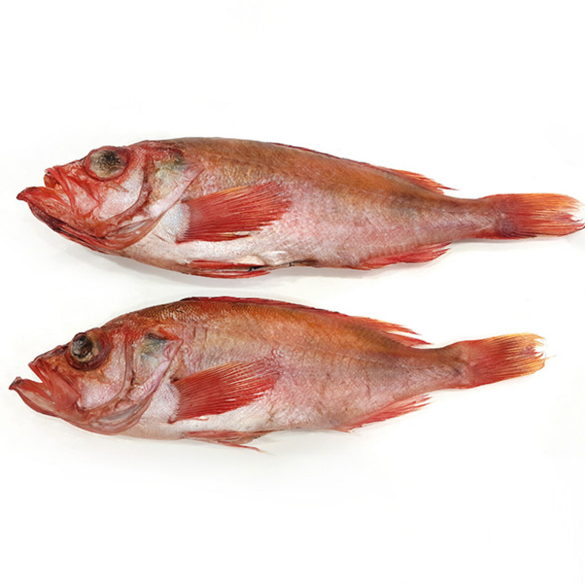 국내 반건조 생선 장문뽈락 볼락 (적어) 1마리, 중 35~37cm 400~545g 내외, 1개