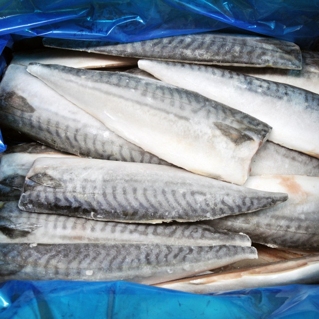푸드마을 냉동 생선 노르웨이 고등어 필렛 5kg 내외 1박스