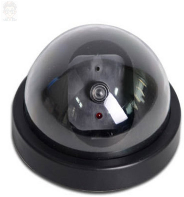 퀸스가든 돔형 CCTV 모형카메라 보급형 타포야외용cctv카메라