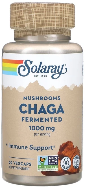 솔라레이 발효 차가버섯 1000mg 베지 캡슐 60정(캡슐당 500mg), 1개, 60정 - 쿠팡