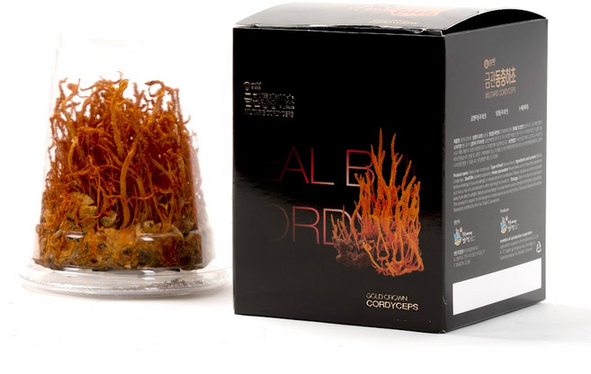 금관 누에 번데기 동충하초 40g 코디세핀 3500mg 이상, 1개