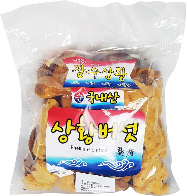 동의한약나라 장수상황버섯 국산, 1개, 500g