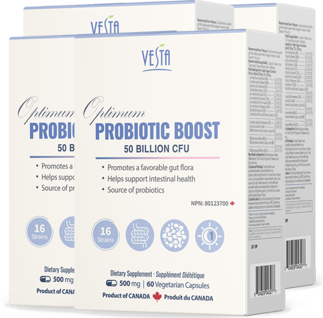 [캐나다본사 빠른직구] 베스타 프로바이오틱스 500억 CFU 고함량 유산균 60캡슐 2개월분 보장균수 500억, 4박스, 60정